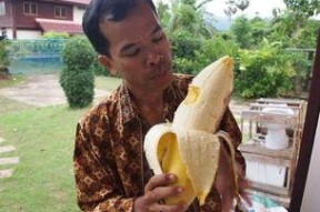 国产成人大香蕉,探索国产成人影视的崛起与魅力