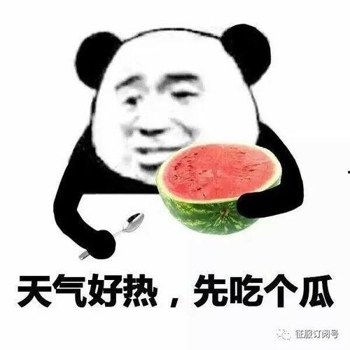 娱乐吃瓜酱赚钱是真的吗